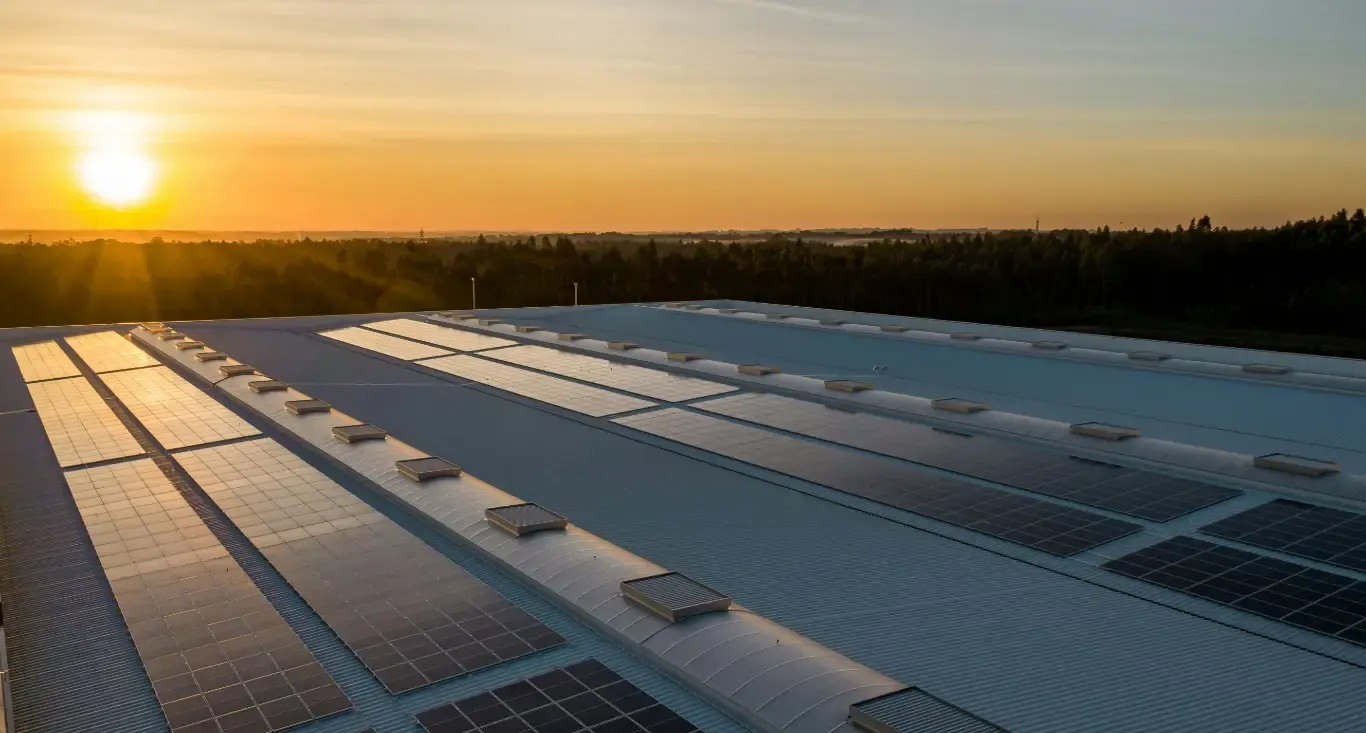 Avances en energía solar: nuevas tecnologías que revolucionan el sector